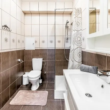 Classic One-bedroom Vilnius