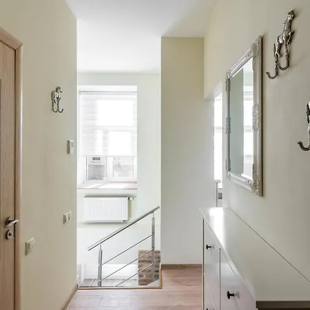 Classic One-bedroom Vilnius